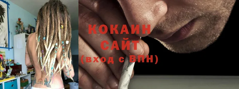 закладка  Холмск  Кокаин Fish Scale 